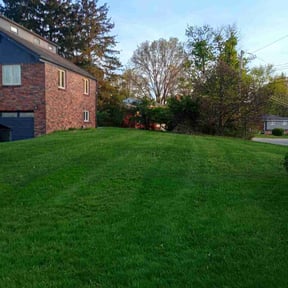 lawn service by JES Lawn Service reviewed on August 17, 2025