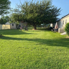 landscaping by The crew lawn care reviewed on August 19, 2025