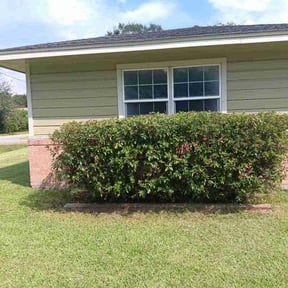 Bush Trimming by MS RANCH LANDSCAPING SERVICES reviewed on January 16, 2026