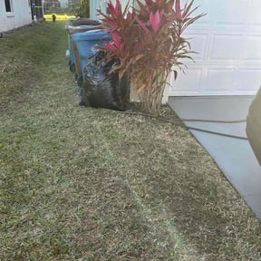 Leaf Removal by Customer's First reviewed on March 16, 2026