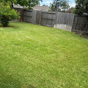 yard maintenance by Busy Buzz Lawn Service reviewed on August 21, 2025
