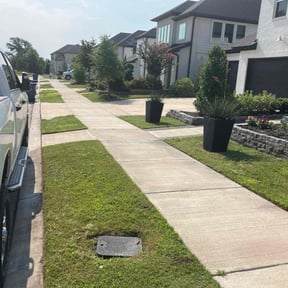 landscaping by Tammy Becker Pool and Lawn Care reviewed on August 18, 2025