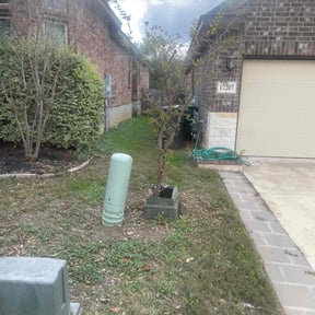 Bush Trimming by Stripe Right reviewed on October 20, 2024