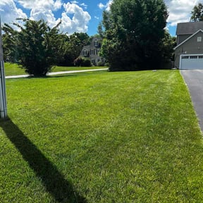 landscaping by Grade A landscaping reviewed on August 17, 2025