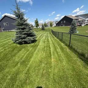 yard service by A&amp;J&#039;s Lawn and Tree Care reviewed on November 19, 2025