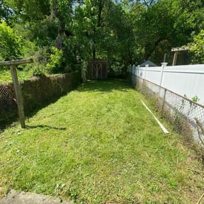 Bush Trimming by D&D All In One reviewed on August 17, 2025