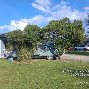 Bush Trimming by Lawn pro reviewed on November 20, 2025