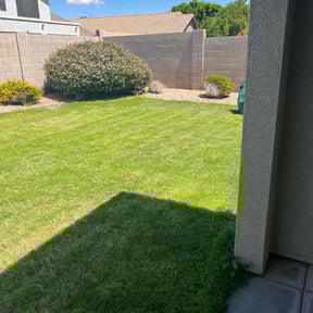 grass cutting by VOW Services reviewed on July 17, 2025