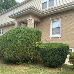 Bush Trimming by Dan's Lawn &amp; Landscaping reviewed on August 6, 2026