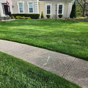 yard service by DTE Maintenance Llc reviewed on December 25, 2025