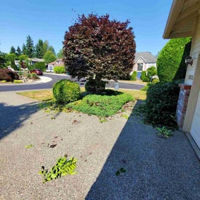 Bush Trimming by K's Lawn Care reviewed on August 17, 2025