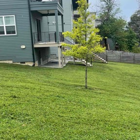 landscape maintenance by Oak Landscaping reviewed on August 18, 2025