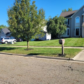 landscaping by Cooper's Four Seasons Landscaping LLC. reviewed on August 21, 2025