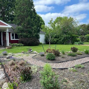 yard service by Dabbic Lawn Care LLC reviewed on August 16, 2025