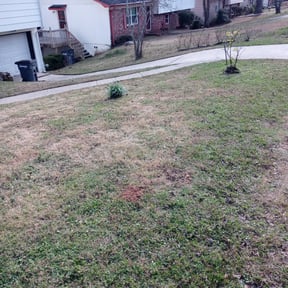 Leaf Removal by Cummings and Cummings Lawn Care reviewed on September 19, 2025