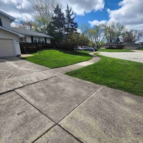 yard service by Self-Develope Services reviewed on August 15, 2025