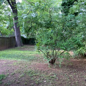Bush Trimming by Just us landscaping LLC reviewed on August 20, 2025