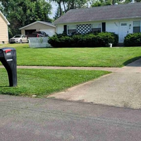 landscaping by Mower Lawn & Landscape LLC reviewed on August 18, 2025