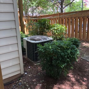 Bush Trimming by To The Rescue Landscaping and Hurricane Clean Up reviewed on August 18, 2025