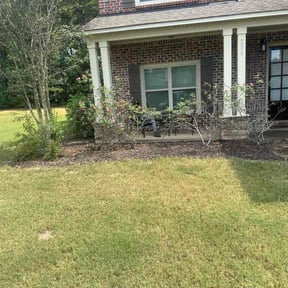 Flower Bed Weeding by Haulin Hooligans reviewed on November 8, 2025