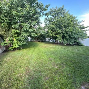 turf maintenance by J&D Lawn Care Services & More LLC reviewed on July 30, 2025