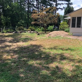 Bush Trimming by Legendary Lawn care reviewed on August 17, 2025