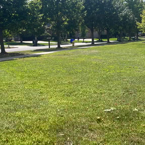 Leaf Removal by Scott Basinger lawn care reviewed on September 6, 2025