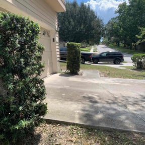Bush Trimming by R&M lawncare reviewed on August 18, 2025