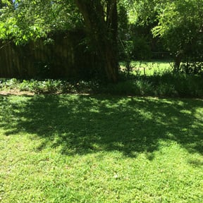 Flower Bed Weeding by Tjs lawn care LLC, reviewed on August 15, 2025
