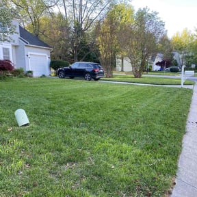 gardening service by Quasny & Son Landscaping reviewed on August 13, 2025