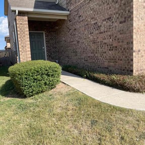 Bush Trimming by J&R LawnCare & Maintenance reviewed on August 14, 2025