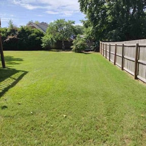 grass maintenance by Straightlines LLC reviewed on May 11, 2024