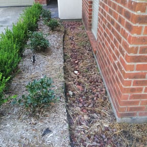 Flower Bed Weeding by Green Cutter reviewed on August 16, 2025