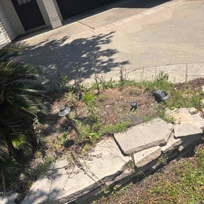 Flower Bed Weeding by OnlyGrass reviewed on May 14, 2026