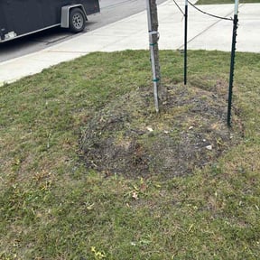 Flower Bed Weeding by Unstumpable LLC reviewed on May 10, 2026