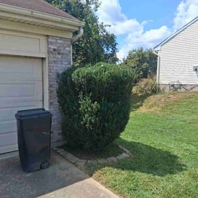 Bush Trimming by J&amp;M Construction Services,LLC reviewed on August 31, 2026