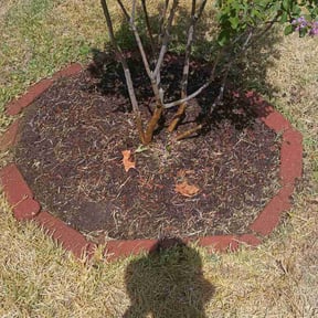 Flower Bed Weeding by 2mowbros reviewed on August 20, 2026