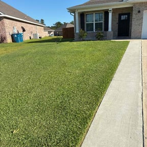 landscaping services by Vidco landscaping reviewed on August 21, 2025