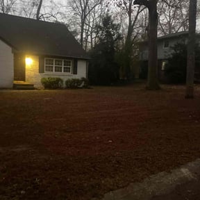 Leaf Removal by GoGreen inc reviewed on December 6, 2025