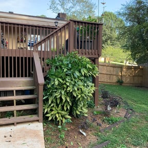 Bush Trimming by Hunters landscaping service LLc reviewed on August 17, 2025