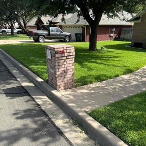 yard service by The Williams reviewed on August 15, 2025