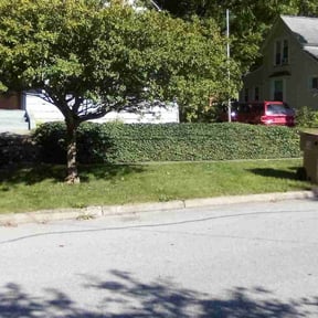 Bush Trimming by Mowtown lawn grooming reviewed on August 19, 2025