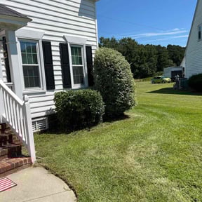 Bush Trimming by Crispy Cuts reviewed on October 23, 2025