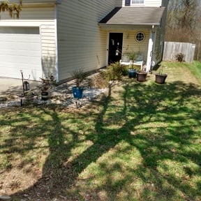 Leaf Removal by Florida LawnScapers LLC reviewed on September 16, 2025