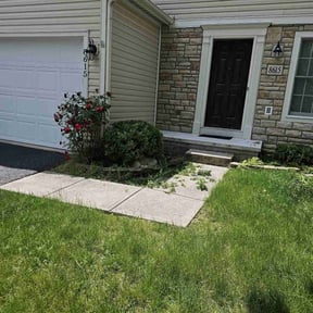 Bush Trimming by MDC General Contractor & Property Management reviewed on August 21, 2025