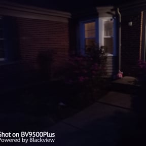 Bush Trimming by Tulsa Lawn Care reviewed on August 16, 2025