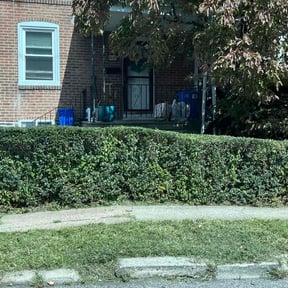 Bush Trimming by Mean Mowz reviewed on November 6, 2025