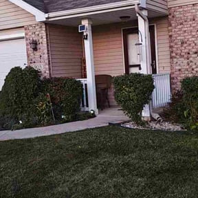 Bush Trimming by jalapenolandscaping reviewed on June 14, 2025