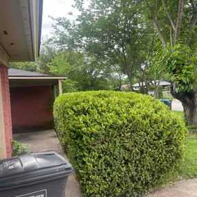 Bush Trimming by Huffman service reviewed on April 26, 2026
