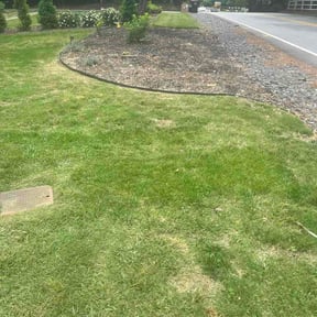 Flower Bed Weeding by Gs lawn care reviewed on July 10, 2026